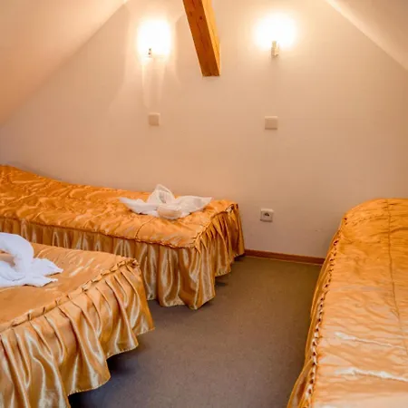 Ani Konferencje Imprezy Wypoczynek Борне-Сулиново