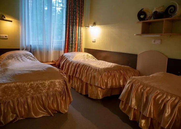 Ani Konferencje Imprezy Wypoczynek 3* Borne Sulinowo