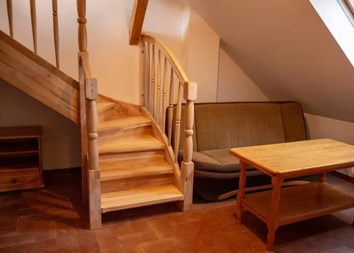 Ani Konferencje Imprezy Wypoczynek 3*