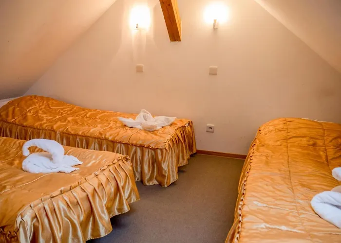 Ani Konferencje Imprezy Wypoczynek Borne Sulinowo